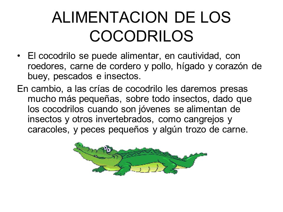 Los métodos eficaces del tratamiento de las lombrices